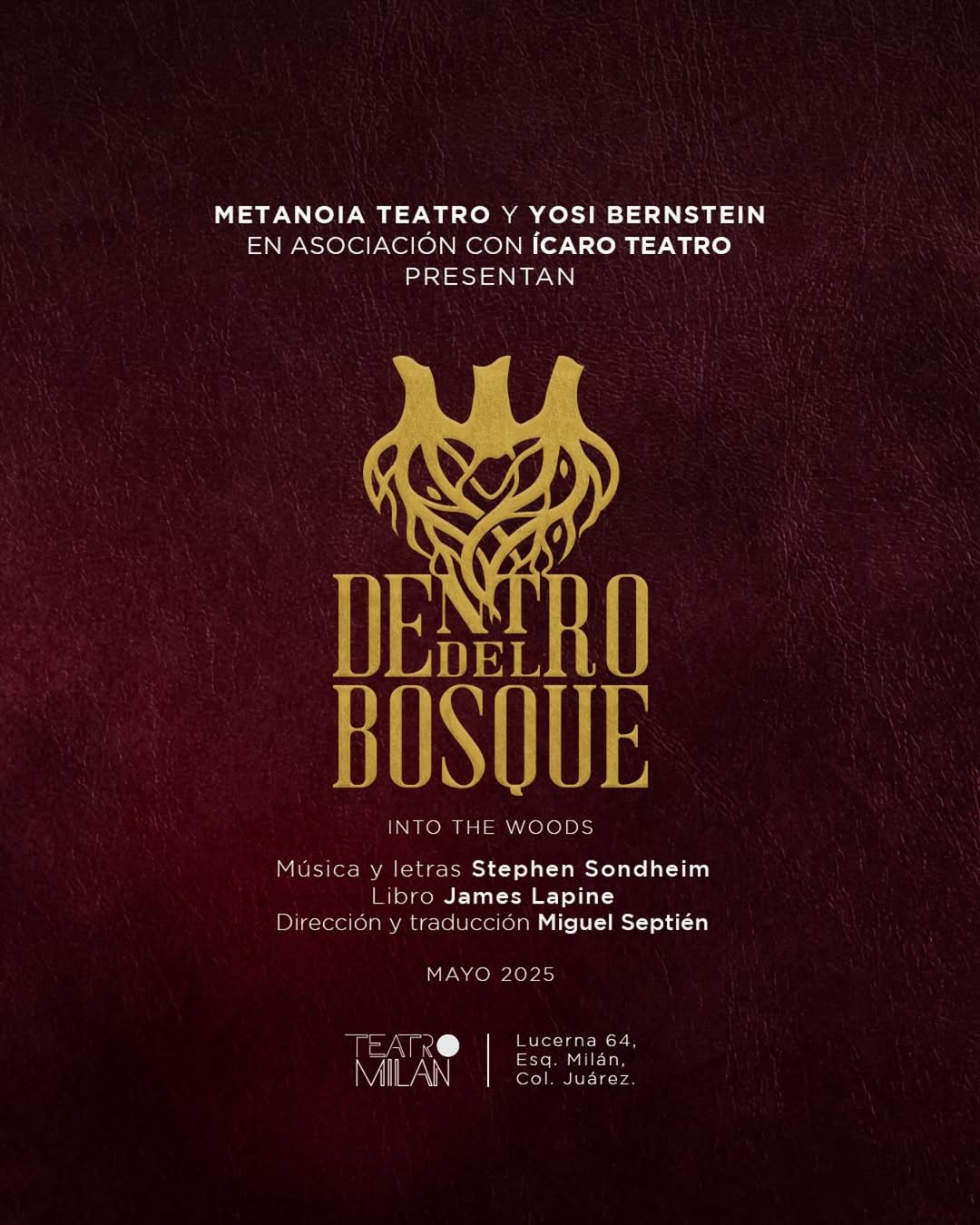 Dentro del Bosque
